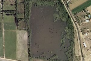 Fotografía de la Laguna de Villadangos en 1997