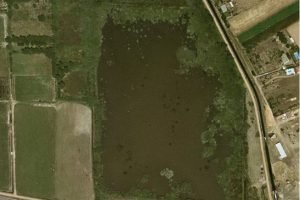 Fotografía de la Laguna de Villadangos en 2004