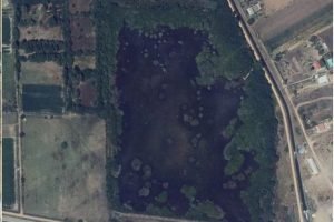 Fotografía de 2014 Fotografía de la Laguna de Villadangos en 2014